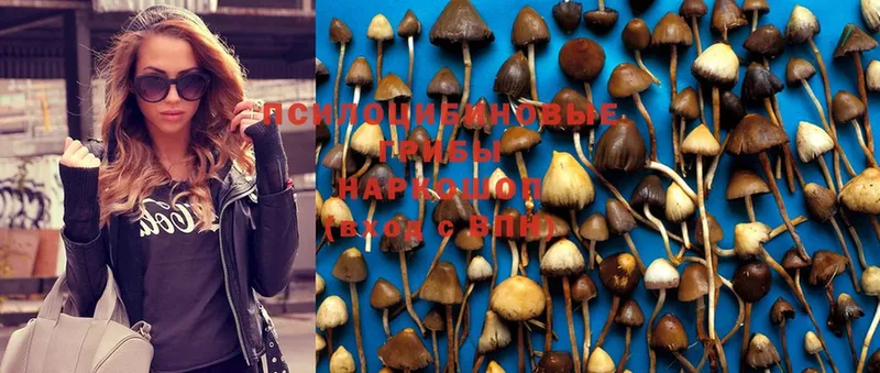 Галлюциногенные грибы Cubensis  Бутурлиновка 